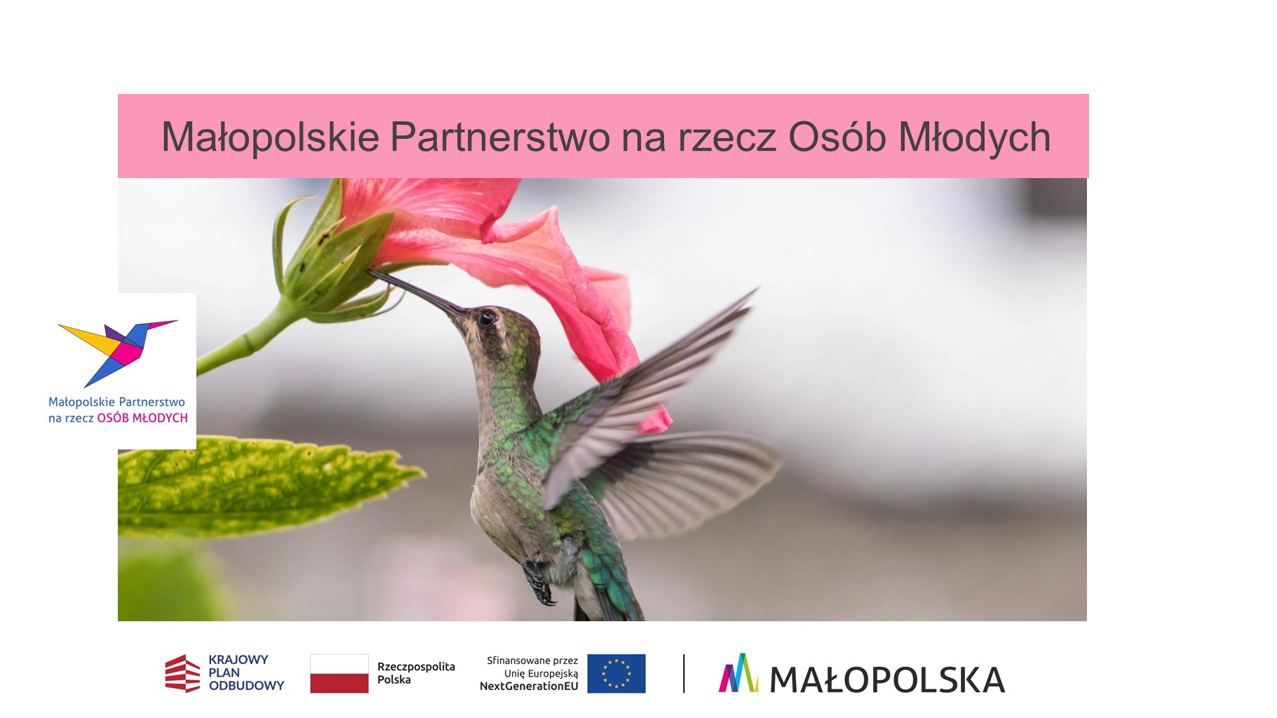Małopolskie Partnerstwo na rzecz Osób Młodych